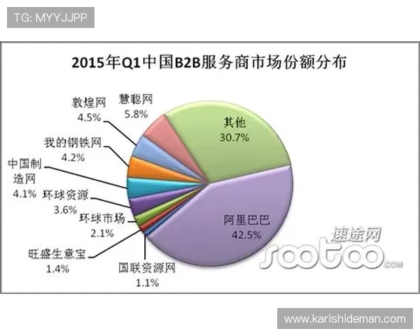 深入探讨365电子平台在电子商务行业中的优势与未来发展趋势分析报告